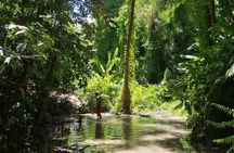 The Best Full Day Tour: Doi Suthep, Wat Phalat, Sticky Waterfall