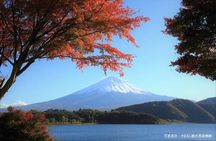 Mt. Fuji, Oishi Park & Arakurayama Pagoda Bus Tour with Lunch