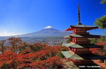 Mt. Fuji, Oishi Park & Arakurayama Pagoda Bus Tour with Lunch