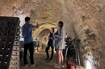 The Secrets of Champagne by a Passionate Winemaker (English)