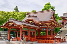 Tokyo: Bus Tour to Kamakura Great Buddha & Enoshima with Pickup