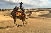 Overnight Camel Safari in Thar Desert