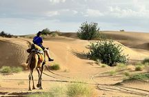 Overnight Camel Safari in Thar Desert