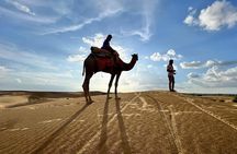 Overnight Camel Safari in Thar Desert