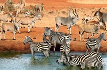 Overnight Safari Tour to Severin Camp from Mombasa