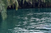 Northern Circuit Safari: 7Days from Arusha - Tanzania’s Top Parks