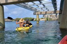 Kayak Tour at Mangel Halto and Spanish Lagoon