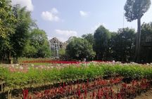 Visit Dantewada(Angel Land), Blue Temple, and Sticky Waterfall