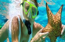 Tour and Swimming at the Dolphin House in Hurghada