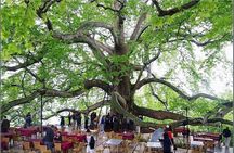 Bursa Nature Tour with Lunch and Cable Car