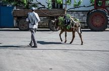 Tour Around the Lake Albania from Ohrid and Struga