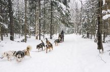 Dog Sledding 1/2 Day Tour from Toronto