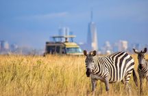 Private Overnight Maasai Mara Safari Tour from Nairobi