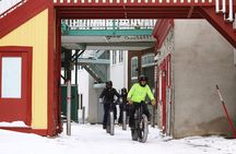 Electric Fatbike Tour in Québec City