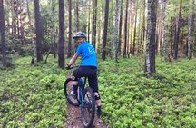 From Prague Mountain Biking Full Day Trip to The Karlstejn Castle