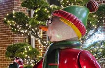 NYC Private Holiday Lights Tour