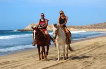 Horseback Riding Adventure in Playa Migriño with Tequila Tasting