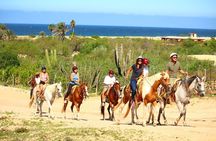 Horseback Riding Adventure in Playa Migriño with Tequila Tasting