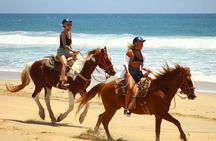 Horseback Riding Adventure in Playa Migriño with Tequila Tasting