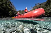 Dart River Canoe and Jet Boat Experience from Queenstown