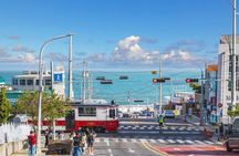 Busan's Cultural Wonders with Beach Train & Gamcheon Village etc