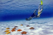 El Cielo Cozumel Snorkel Private Boat + Food Drinks + Beach Club