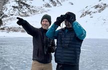 High Country Birding Hike and Hot Spring Soak from Denver
