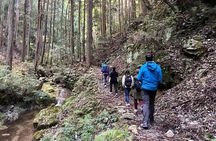 Explore Nature in Yoshino with e-Bike Tour 