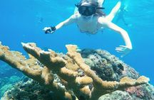 El Cielo Cozumel Snorkel Private Boat + Food Drinks + Beach Club