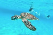 El Cielo Cozumel Snorkel Private Boat + Food Drinks + Beach Club