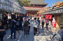 Tokyo Half Walking Day Tour with a Local Expert Guide