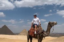 Half Day private guided tour Giza Pyramids,Sphinx,lunch,camel rid