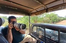 Wilpattu National Park Guided Tour in a Safari Jeep Ride