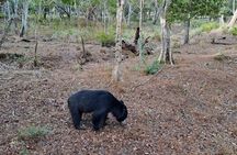 Wilpattu National Park Guided Tour in a Safari Jeep Ride