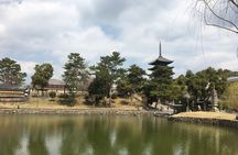 Private Half-Day City of Nara Guided Tour