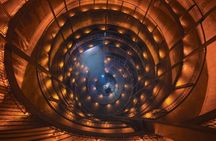 From Auckland: Waitomo Caves and Kiwi House Small Group Tour