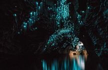 From Auckland: Waitomo Caves and Kiwi House Small Group Tour