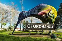 Waitomo Glowworm Caves and Kiwi House Small Group from Auckland