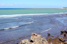 Full Day Private Mombasa Tour and Excursions