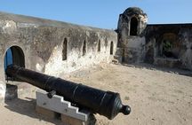 Small group tour to Old Mombasa Town, Fort Jesus and Haller Park
