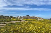 Day Tour to Famagusta, Ghost Town & Ancient Salamis