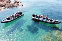 Sea excursion - Estérel Massif by boat