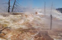 Full-Day Yellowstone Upper (Northern) Loop Tour