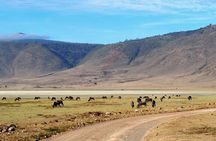 4 Days Shared Camping Safari to Tarangire and Serengeti
