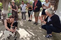 Full Day 4x4 Self-Drive Safari Tour in Crete with BBQ Lunch