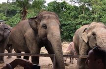 Elephant keeper programs with Kuang si waterfall in Laos
