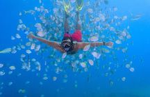 Private Full Day Charter to Saona Island from Punta Cana