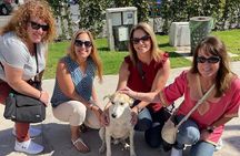 Tangier on Foot: A Guided Walking Tour