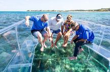 75 Minutes Clear Boat Tour in Caicos Island