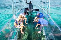 75 Minutes Clear Boat Tour in Caicos Island